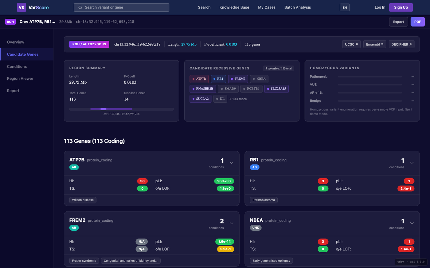 VarScore 基因变异评分系统 — 纯合区域（ROH）：基因与区域优先，基因致病性卡片展开
